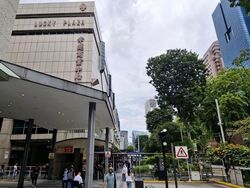 Lucky Plaza (D9), Shop House #594477741